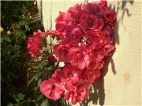 27fec7aa-Picture 663.jpg